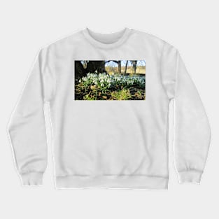 Snowdrops Under an Old Tree Crewneck Sweatshirt